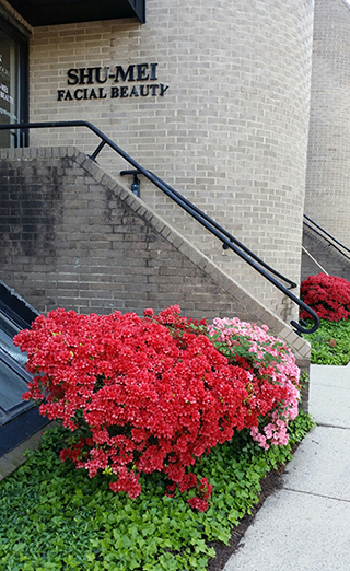 shu mei facial front